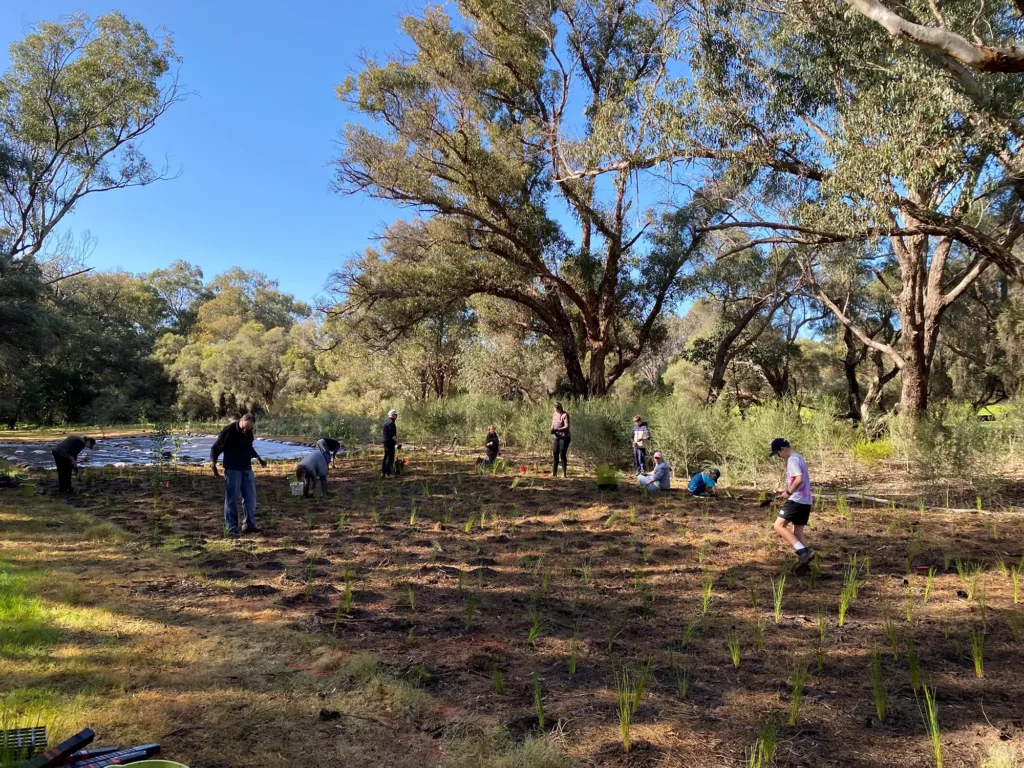 Group of volunteers as part of the Lower Helena Association