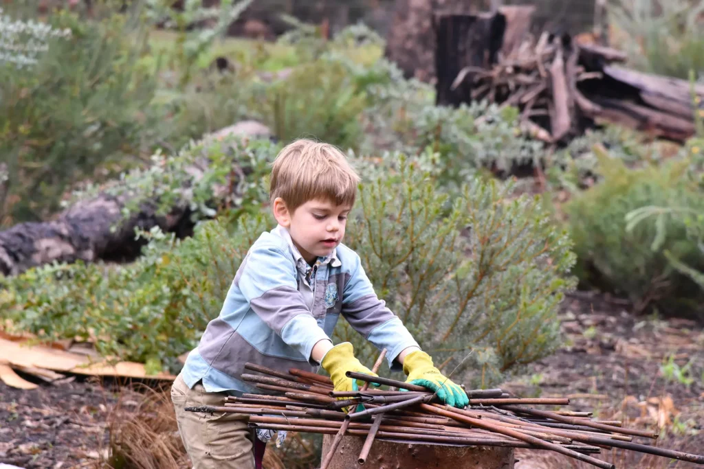 Young boy hard at work clearing debris from bushland