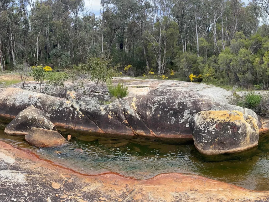 BoorYul-Bah-Bilya - Photo by Francesca Flynn